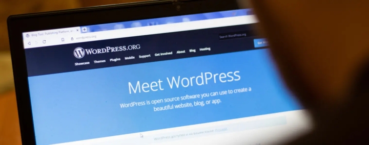 The Popularity of WordPress in Website Design Services